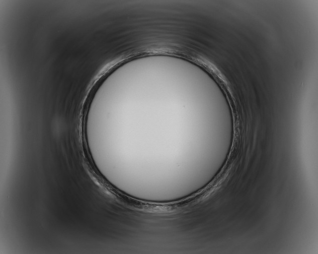 X0000086960986200704161120