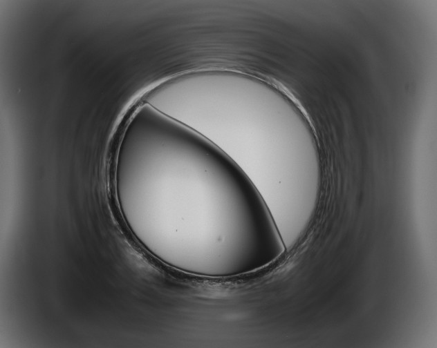 X0000086960987200704161120