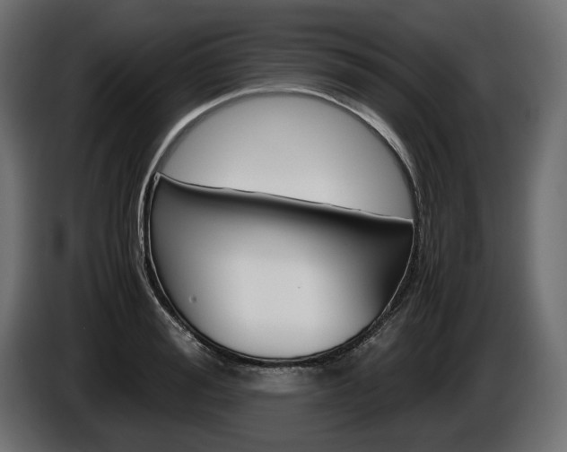X0000086960988200704161120