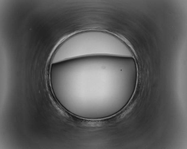 X0000086960989200704161120