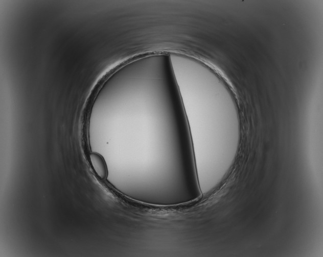 X0000086960991200704161120