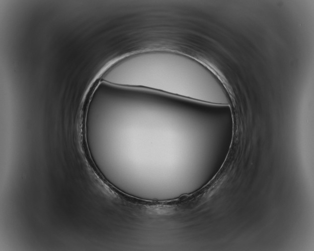 X0000086960992200704161120