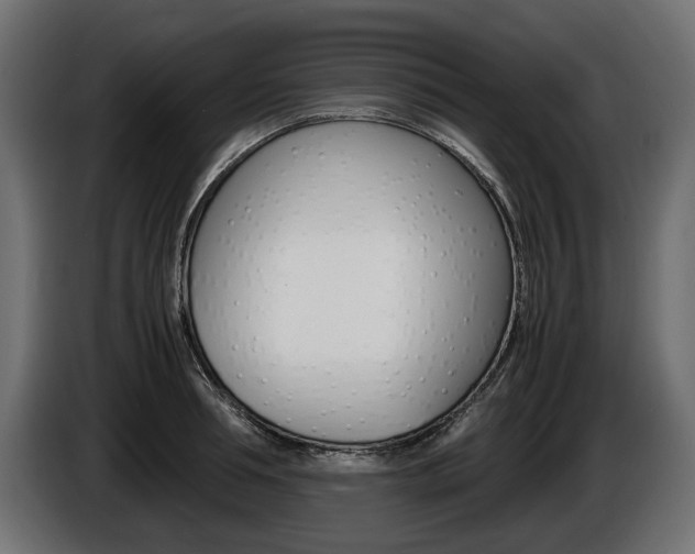 X0000086960994200704161120