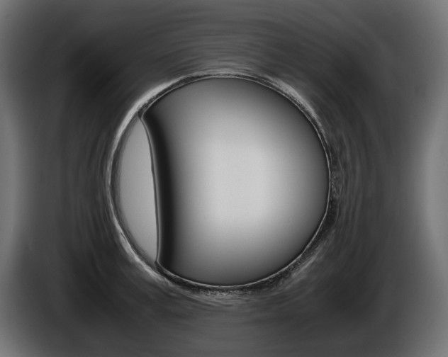X0000086960995200704161120