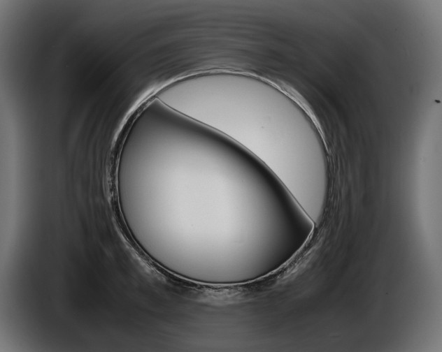 X0000086960997200704161120
