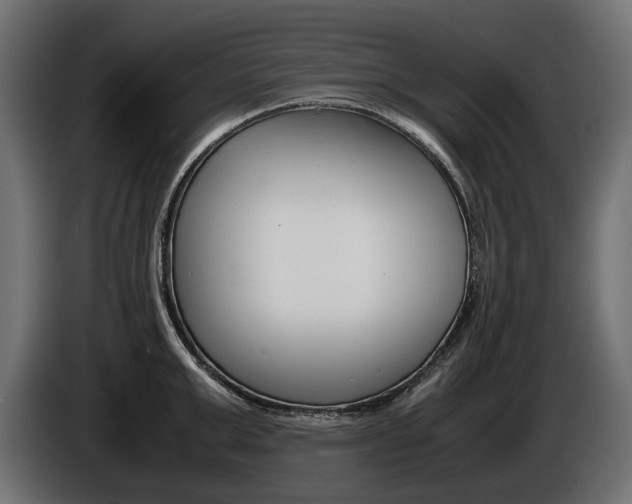 X0000086960999200704161120