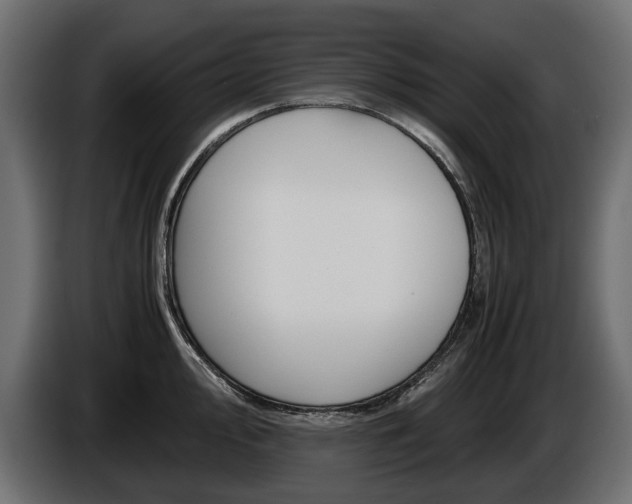 X0000086961000200704161120