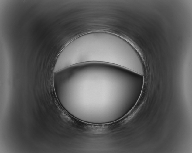 X0000086961001200704161120