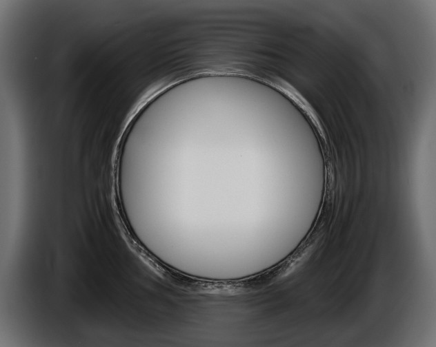 X0000086961002200704161120