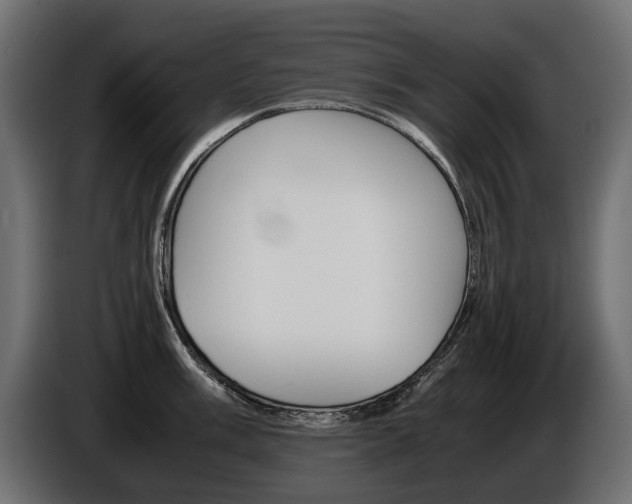 X0000086961003200704161120