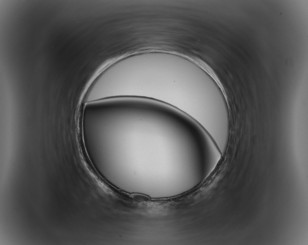 X0000086961005200704161120