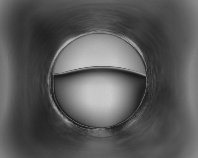 X0000086961007200704161120