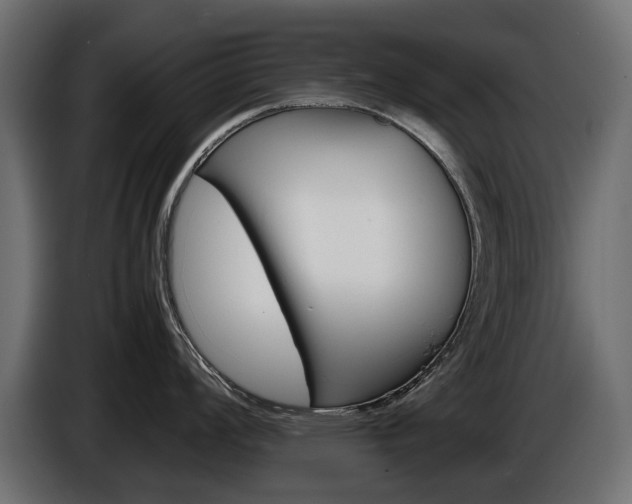 X0000086961008200704161120