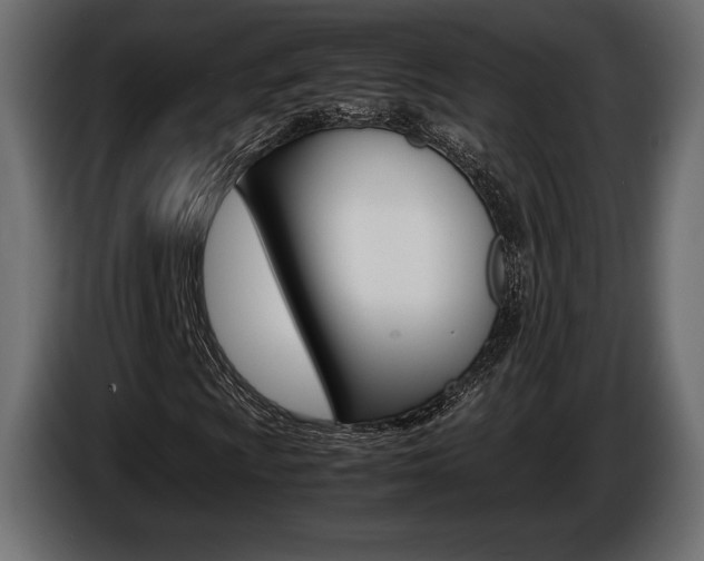X0000086961009200704161119