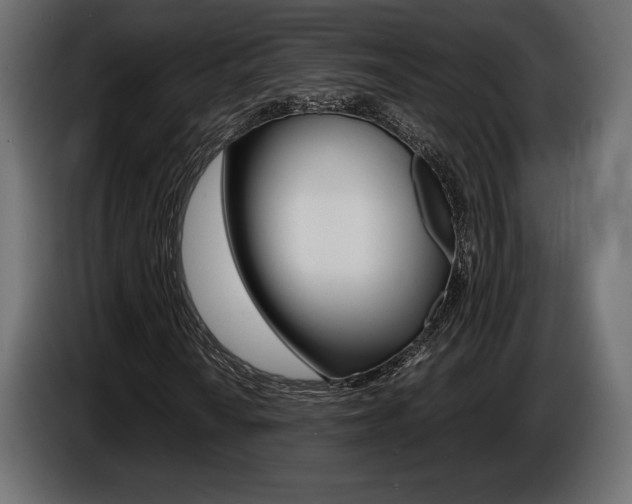 X0000086961010200704161119