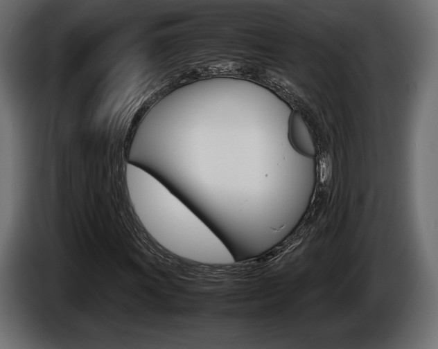 X0000086961011200704161119