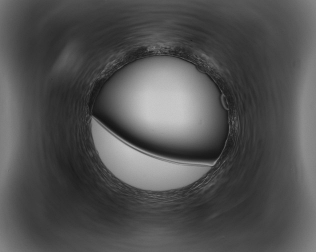 X0000086961012200704161119