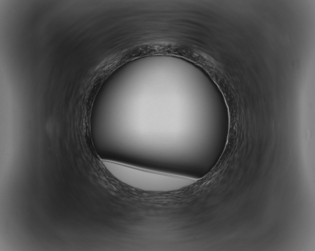 X0000086961014200704161119
