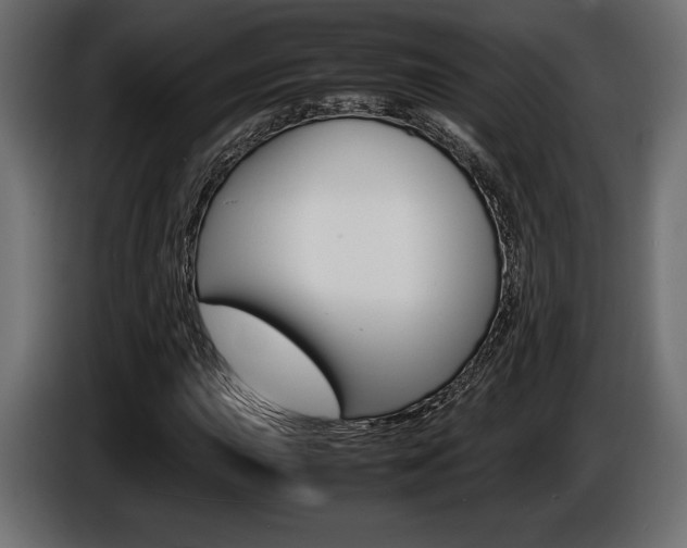 X0000086961015200704161119