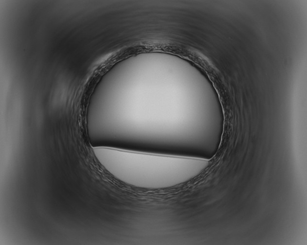 X0000086961016200704161119
