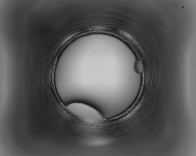 X0000086961017200704161119