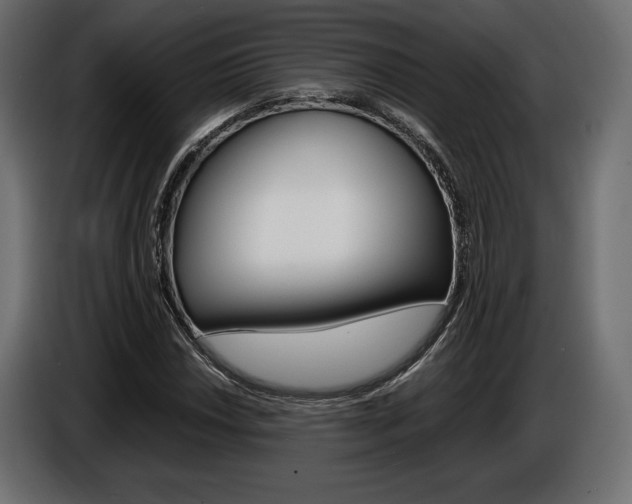X0000086961018200704161119