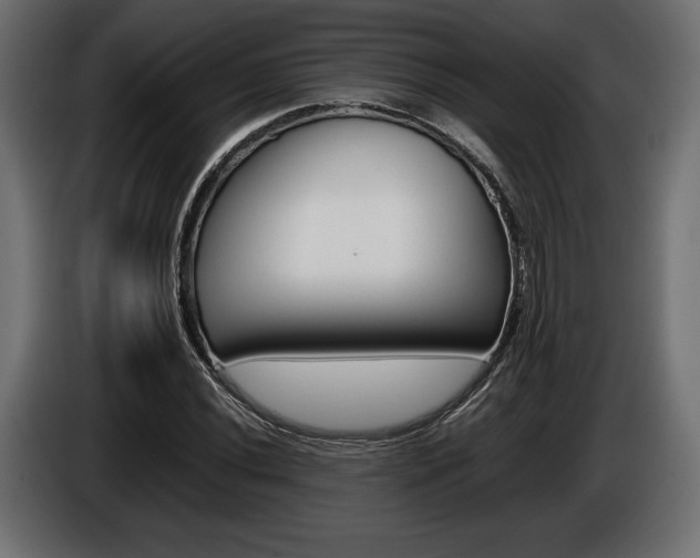 X0000086961020200704161119