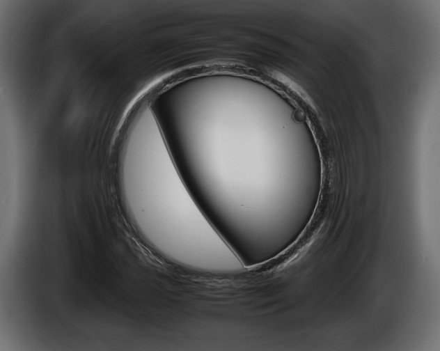 X0000086961021200704161119