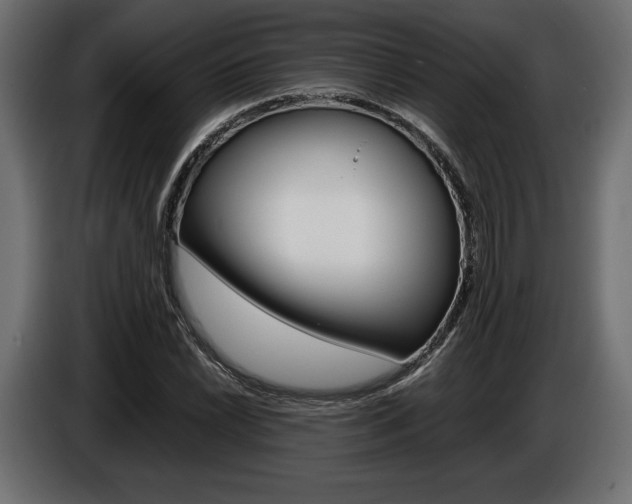 X0000086961022200704161119