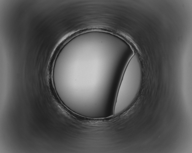 X0000086961024200704161119