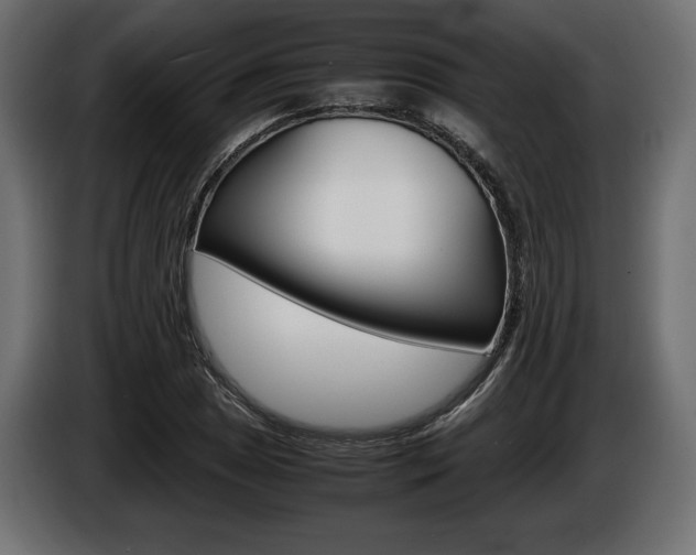X0000086961025200704161119