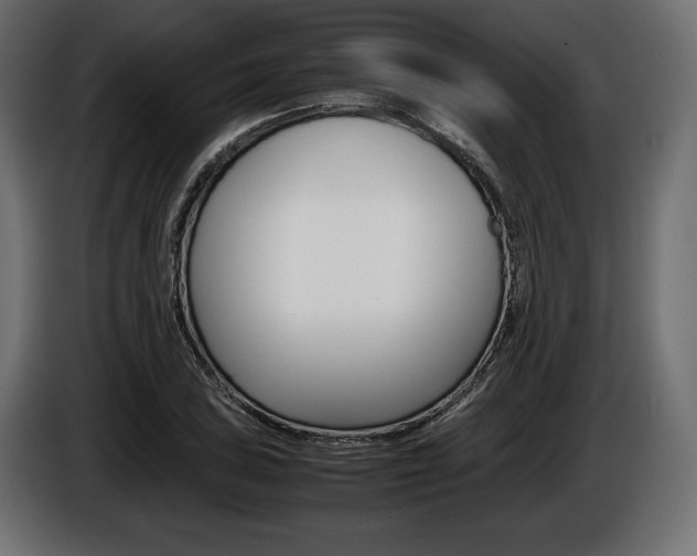 X0000086961027200704161119