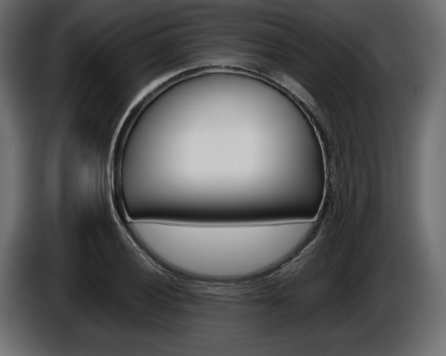 X0000086961028200704161119