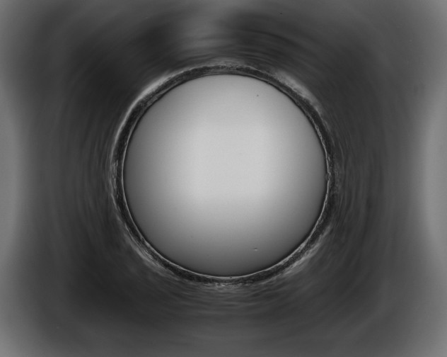 X0000086961029200704161119
