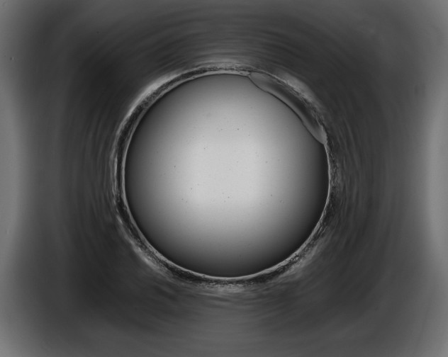 X0000086961030200704161119