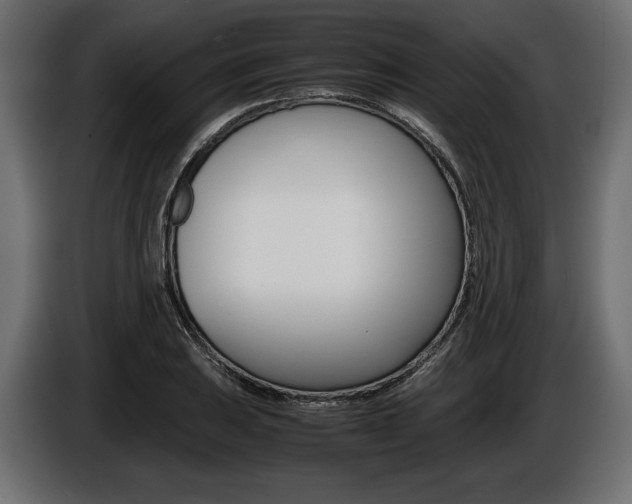 X0000086961031200704161119