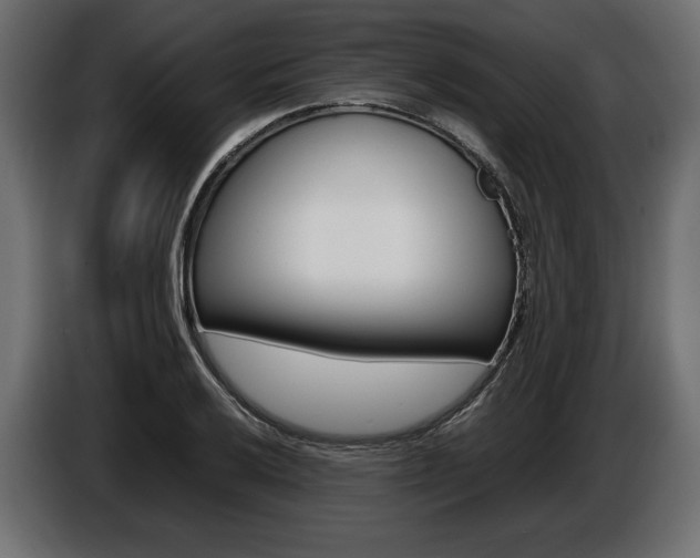X0000086961032200704161119