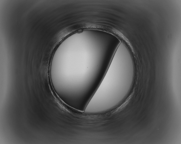 X0000086961033200704161119