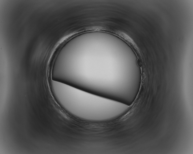 X0000086961035200704161119