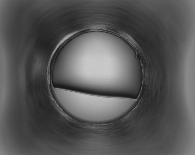 X0000086961036200704161119