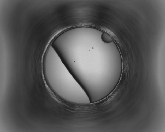 X0000086961039200704161119