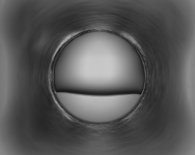 X0000086961040200704161119