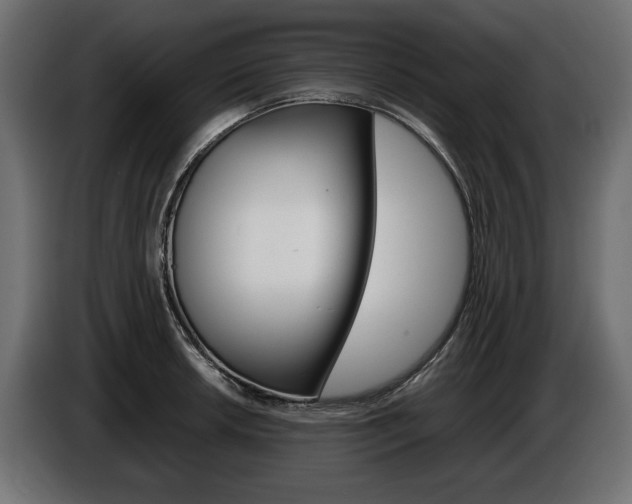 X0000086961042200704161119