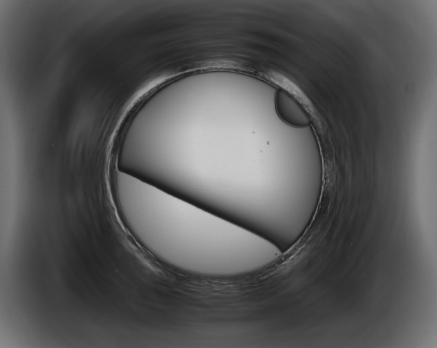 X0000086961043200704161119