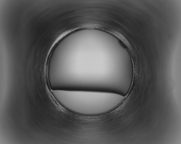 X0000086961044200704161119