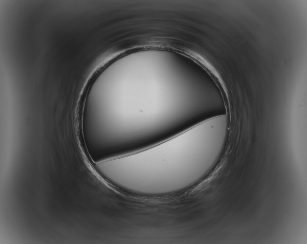 X0000086961045200704161119