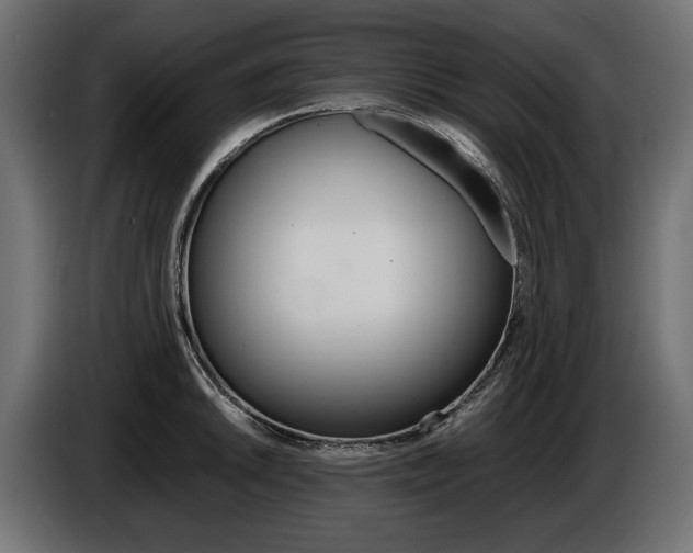 X0000086961046200704161119