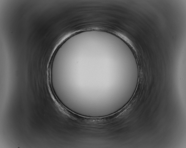 X0000086961047200704161119