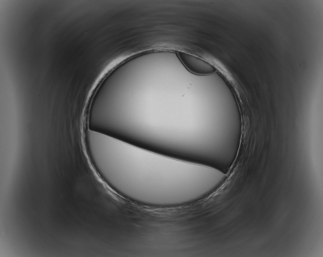 X0000086961048200704161119