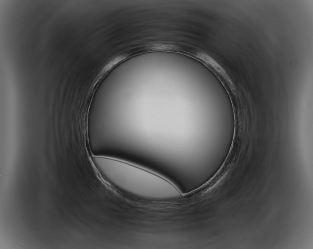 X0000086961049200704161119